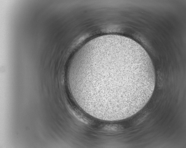 X0000080160631200612302154