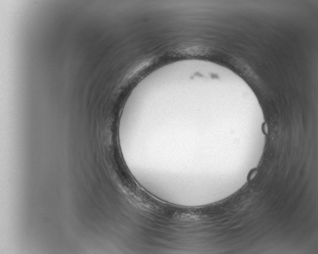 X0000080160635200612302154