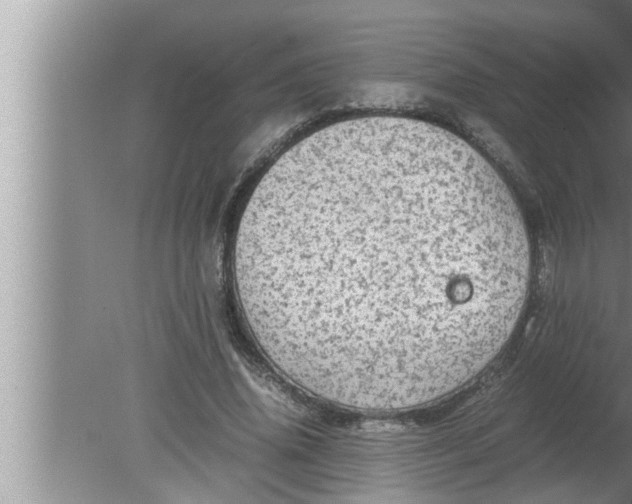 X0000080160636200612302154