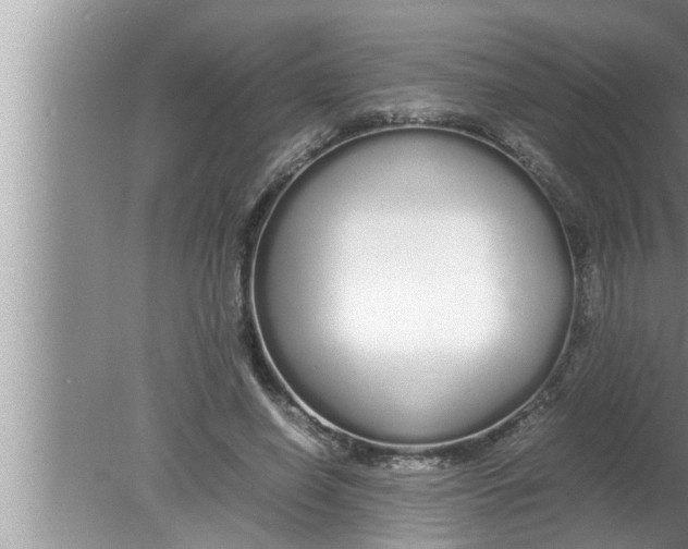 X0000080160638200612302154