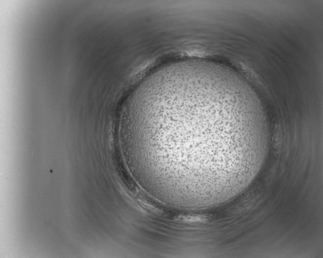 X0000080160639200612302154