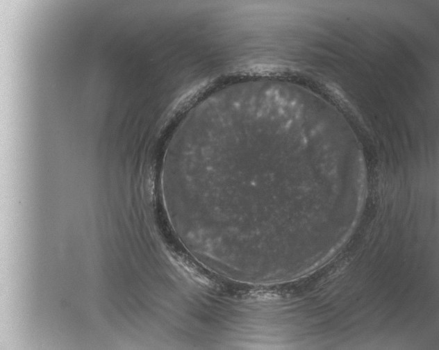 X0000080160640200612302154