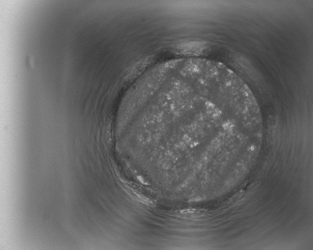 X0000080160641200612302154