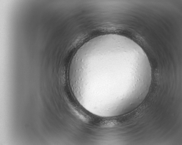 X0000080160642200612302154