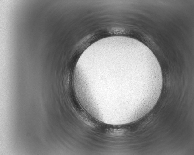 X0000080160645200612302154