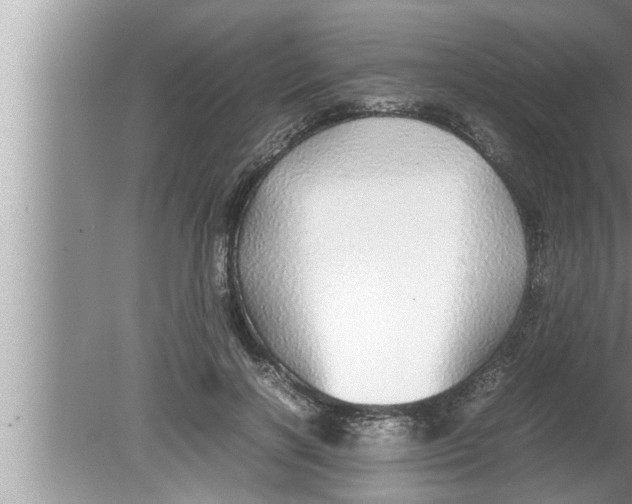 X0000080160646200612302154