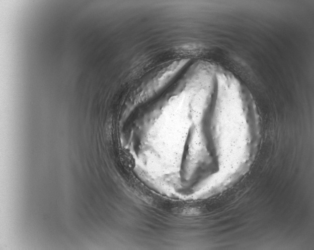 X0000080160647200612302154