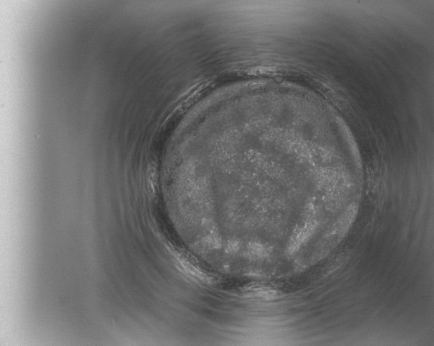 X0000080160648200612302154