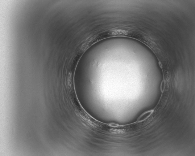 X0000080160649200612302154