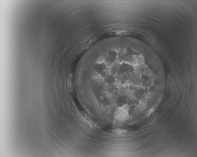 X0000080160650200612302154