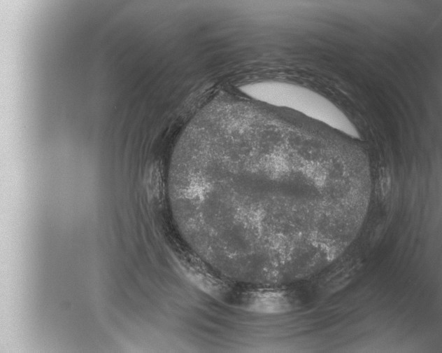 X0000080160651200612302154