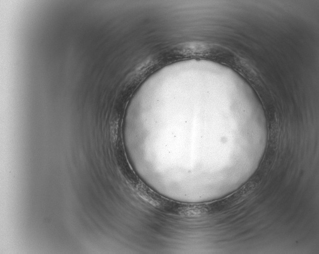 X0000080160652200612302155