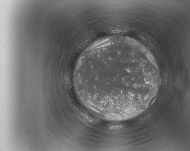 X0000080160653200612302155