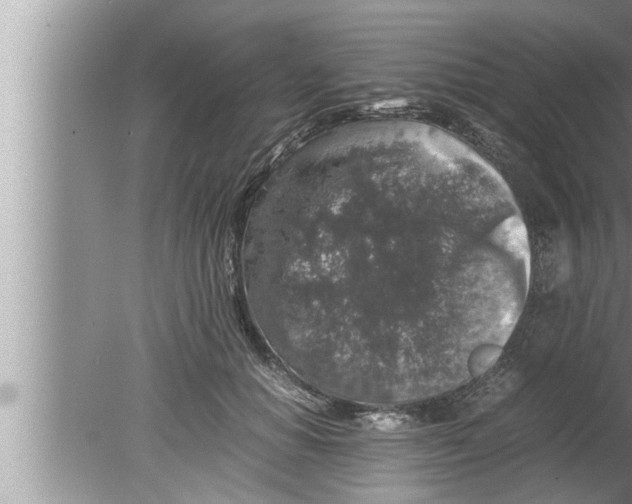 X0000080160654200612302155