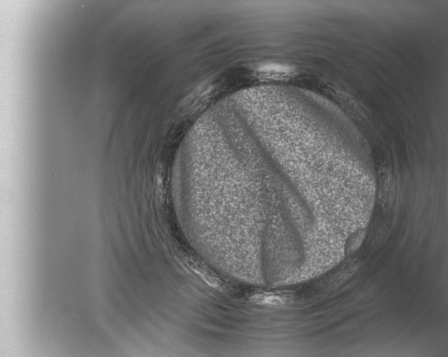 X0000080160655200612302155