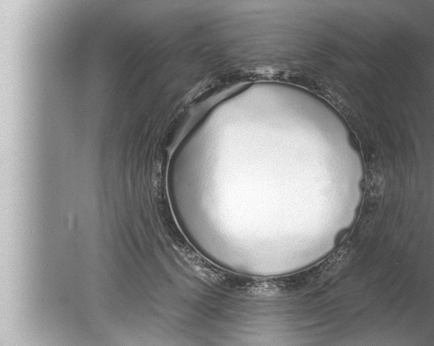 X0000080160656200612302155