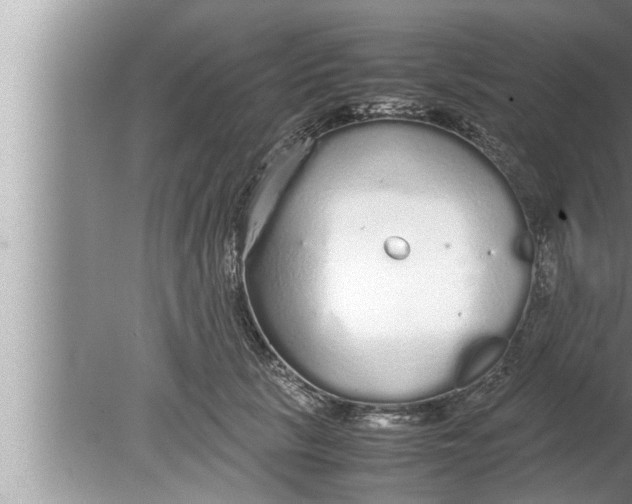 X0000080160657200612302155