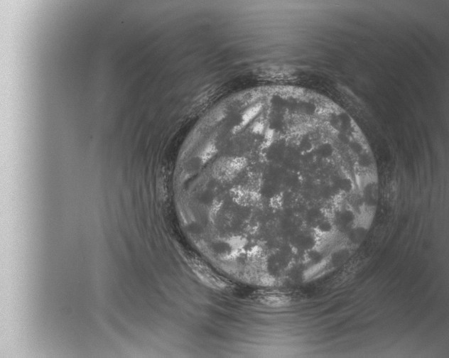 X0000080160658200612302155