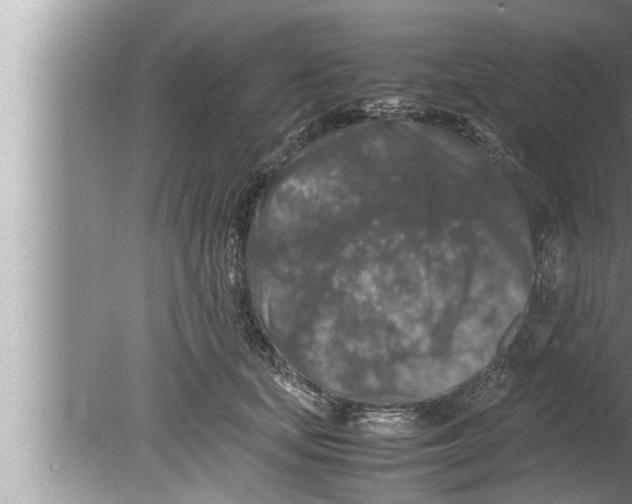 X0000080160659200612302155