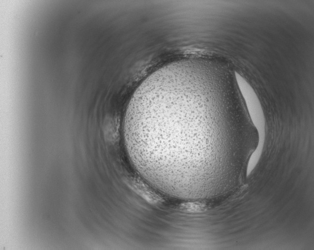 X0000080160660200612302155