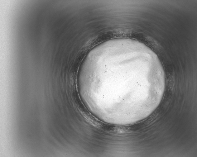 X0000080160662200612302155