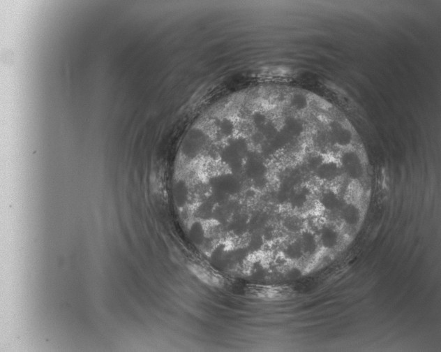 X0000080160663200612302155