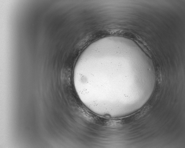 X0000080160664200612302155