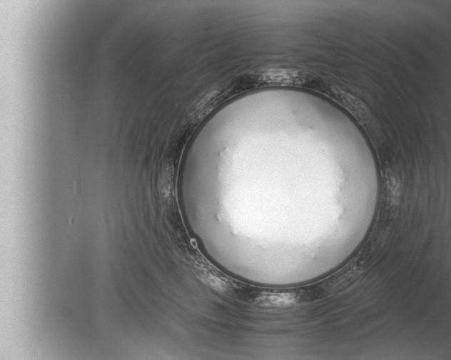 X0000080160665200612302155