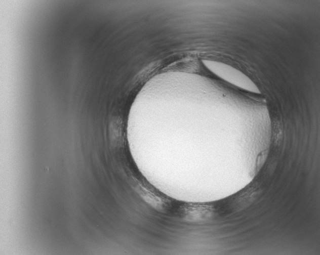 X0000080160670200612302155