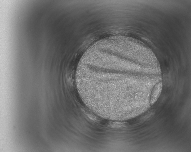 X0000080160671200612302155