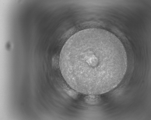 X0000080160672200612302155