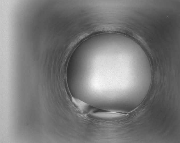 X0000080160673200612302154