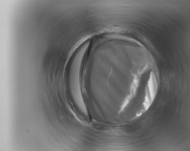 X0000080160674200612302154