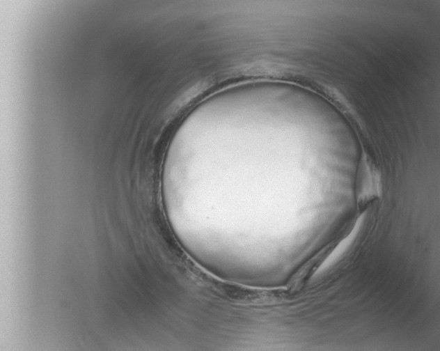 X0000080160675200612302154