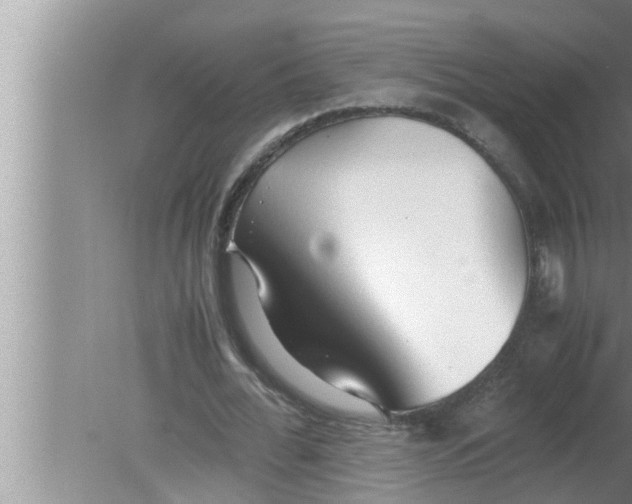 X0000080160676200612302154