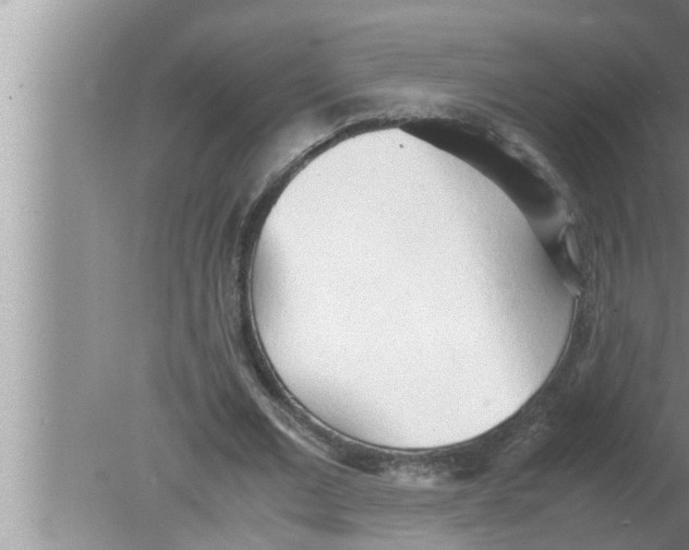 X0000080160677200612302154