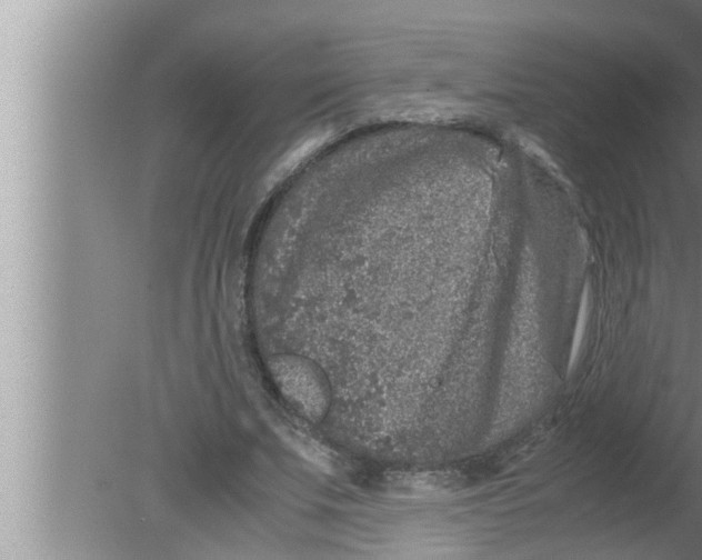 X0000080160679200612302154