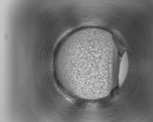 X0000080160680200612302154