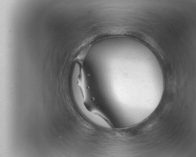 X0000080160681200612302154