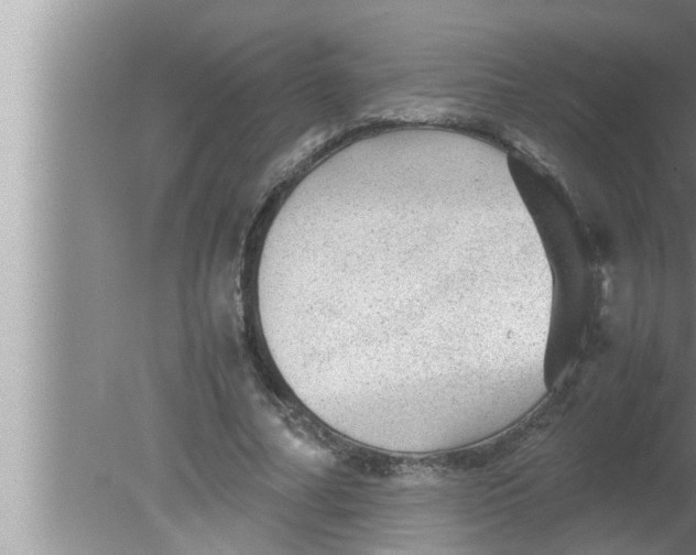 X0000080160682200612302154