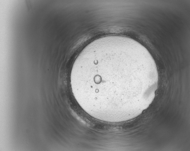 X0000080160683200612302154