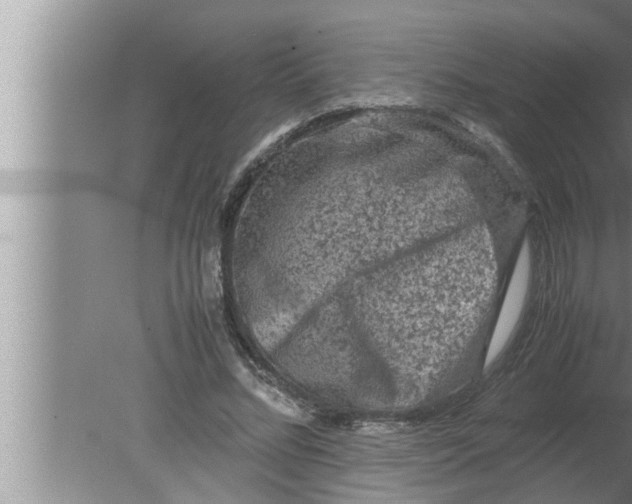 X0000080160684200612302154