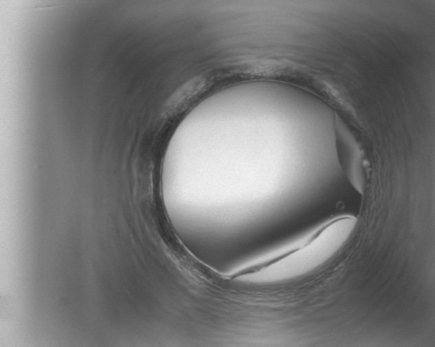 X0000080160685200612302154