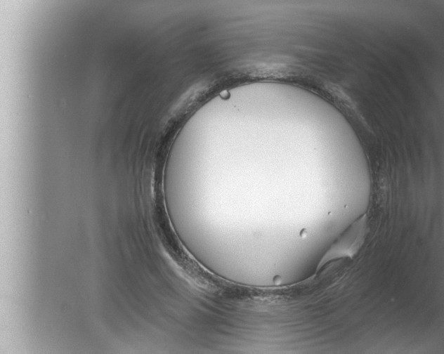 X0000080160686200612302154