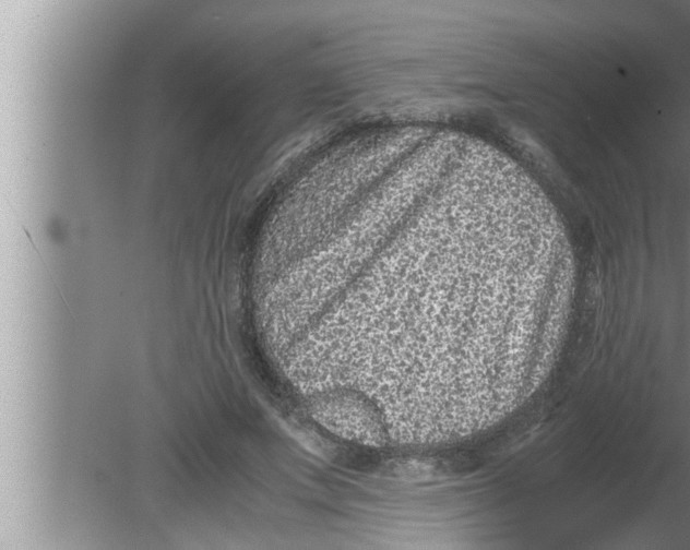 X0000080160687200612302154