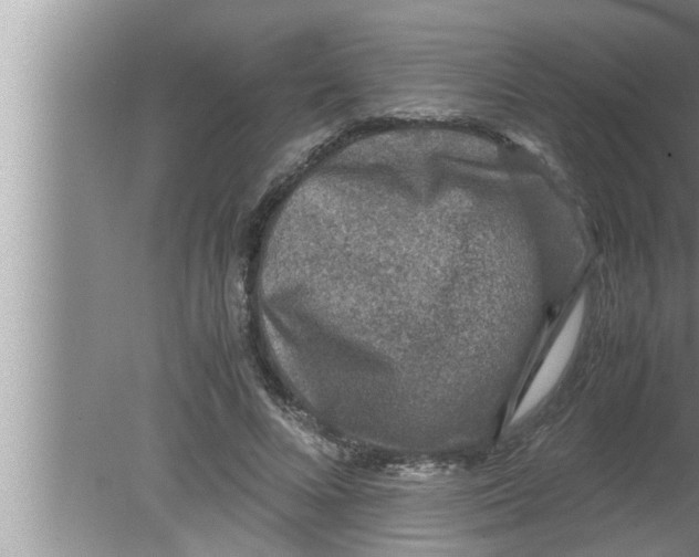 X0000080160688200612302154