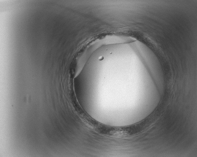 X0000080160689200612302154