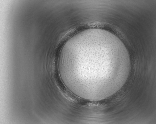 X0000080160690200612302154