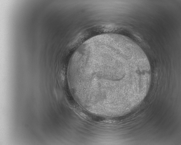 X0000080160691200612302154