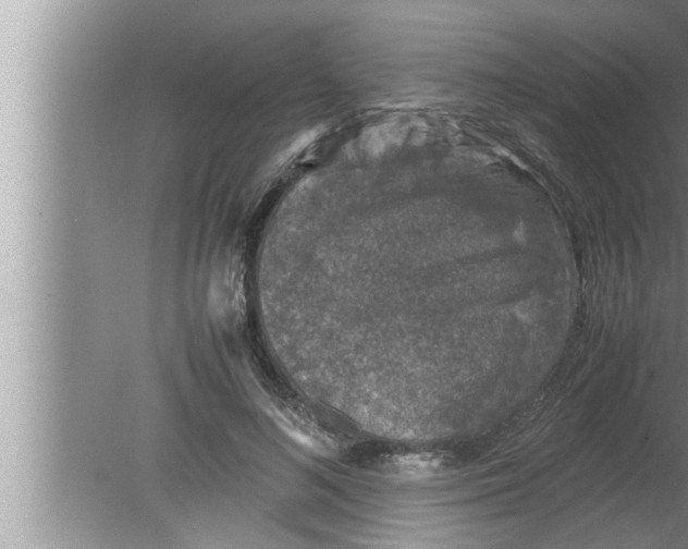 X0000080160692200612302154